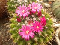 DSCN0138.jpg