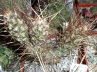 DSCN0177.jpg