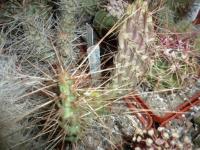 DSCN0182.jpg