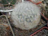 DSCN0260.jpg