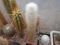 DSCN0314.jpg