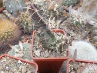 DSCN0318.jpg