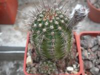 DSCN0357.jpg