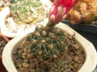DSCN0369.jpg