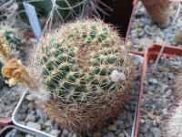 DSCN0384.jpg