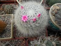 DSCN0404.jpg