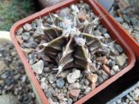 DSCN0482.jpg