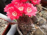 DSCN0503.jpg