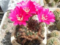 DSCN0509.jpg