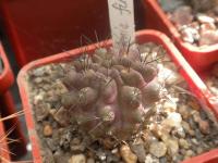 DSCN0529.jpg