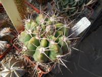 DSCN0531.jpg