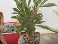 DSCN0537.jpg