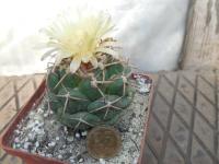 DSCN0580.jpg