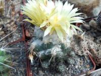 DSCN0590.jpg