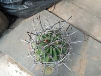 DSCN0593.jpg