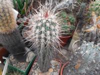 DSCN0701.jpg