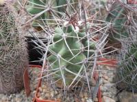 DSCN0707.jpg