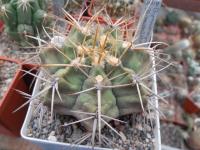 DSCN0708.jpg