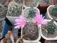 DSCN0709.jpg