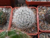 DSCN0722.jpg