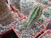 DSCN0726.jpg