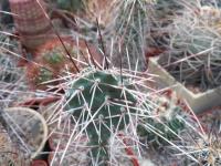 DSCN0739.jpg