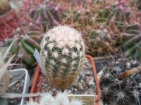 DSCN0750.jpg