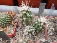 DSCN0760.jpg