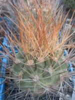 DSCN1740.jpg