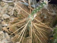 DSCN2388.JPG