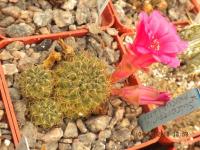 DSCN2408.JPG