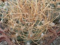 DSCN4344.jpg