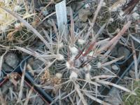 DSCN5032.jpg