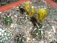 DSCN5566.jpg