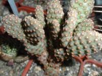 DSCN5574.jpg