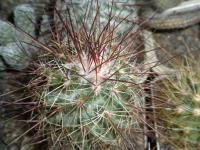 DSCN5591.jpg