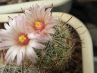 DSCN5599.jpg