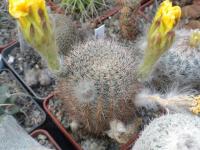 DSCN5621.jpg