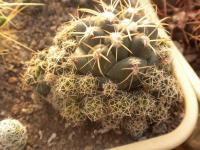 DSCN7331.jpg