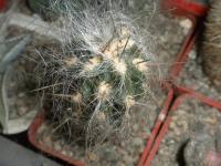 DSCN7765.jpg