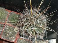 DSCN7771.jpg