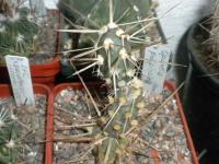 DSCN7858.jpg