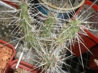 DSCN7876.jpg