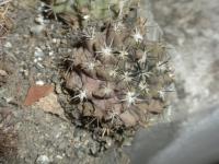 DSCN7882.jpg