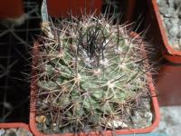 DSCN7892.jpg