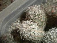 DSCN7897.jpg
