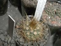 DSCN7906.jpg