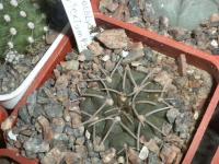 DSCN7914.jpg