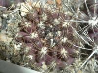 DSCN7922.jpg