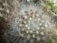 DSCN7940.jpg